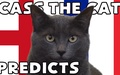 Mèo tiên tri dự đoán kết quả bóng đá Anh vs Pháp