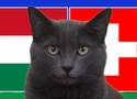 Mèo tiên tri dự đoán Hungary vs Thụy Sĩ, 20h ngày 15/6, Euro 2024