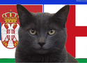Mèo tiên tri dự đoán Serbia vs Anh, 2h ngày 17/6, Euro 2024