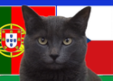 Mèo tiên tri dự đoán Bồ Đào Nha vs Séc, 2h ngày 19/6, Euro 2024
