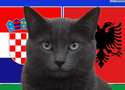 Mèo tiên tri dự đoán Croatia vs Albania, 20h ngày 19/6, Euro 2024