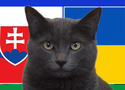 Mèo tiên tri dự đoán Slovakia vs Ukraine, 20h ngày 21/6, Euro 2024
