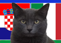 Mèo tiên tri dự đoán Croatia vs Italia, 2h ngày 24/6, Euro 2024