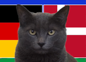 Mèo tiên tri dự đoán Đức vs Đan Mạch, 2h ngày 30/6, Euro 2024