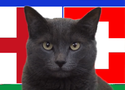 Mèo tiên tri dự đoán Anh vs Thụy Sĩ, 2h ngày 6/7, Euro 2024