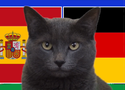 Mèo tiên tri dự đoán Tây Ban Nha vs Đức, 23h ngày 5/7, Euro 2024