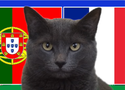 Mèo tiên tri dự đoán Bồ Đào Nha vs Pháp, 2h ngày 6/7, Euro 2024