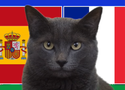 Mèo tiên tri dự đoán Tây Ban Nha vs Pháp, 2h ngày 10/7, Euro 2024