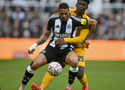 Nhận định bóng đá Brighton vs Newcastle: Đảm bảo top 3