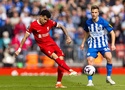 Tỷ lệ bóng đá trận Brighton vs Liverpool, 2h00 ngày 20/5, Ngoại hạng Anh