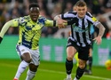 Nhận định, soi kèo Newcastle vs Leeds: Tiếp đà hưng phấn