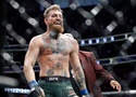 Conor McGregor xác nhận đàm phán trở lại: Tuy nhiên đấu UFC Nhà Trắng sẽ bất khả thi?