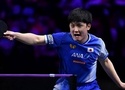 Ngôi sao số 1 bóng bàn Nhật Bản trở thành tâm điểm tranh cãi sau thất bại tại WTT Champions Chongqing