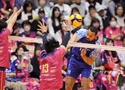 Tokyo Great Bears và Toray Arrows chia điểm sau hai trận kịch tính tại Ariake Coliseum