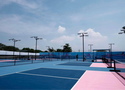 Pickleball Hà Nội hạ nhiệt: Chủ sân “đau đầu” vì người chơi bỏ ngang, thị trường bước vào giai đoạn thanh lọc