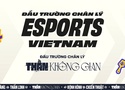 Lộ trình Esports Đấu Trường Chân Lý Mùa 17: Mở rộng cơ hội cho mọi chiến thuật gia