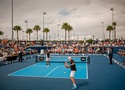 Chiến thuật pickleball chuyên nghiệp đã thay đổi thế nào sau gần một thập kỷ?