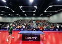 Sự xuất hiện của Fan Zhendong đang thay đổi vị thế của bóng bàn chuyên nghiệp Mỹ như thế nào?