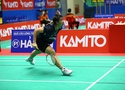 Cầu lông Singapore International Series 2026: Dàn sao trẻ Việt Nam bứt phá
