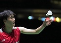 Sức gió vượt tầm kiểm soát: Chen Yufei và cuộc chiến tinh thần tại cầu lông Indonesia Open