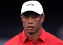 Golfer Tiger Woods rời Mỹ để điều trị chuyên sâu: Sự sụp đổ của một biểu tượng và bài học quản trị rủi ro