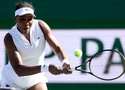 Quần vợt Indian Wells 2026: Venus Williams dừng bước tại "Grand Slam thứ 5" và mức thưởng gây sốc cho vòng đầu tiên