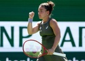 Nhận định quần vợt Miami Open 2026, ngày 22/03, 22h00: Jasmine Paolini vs Jelena Ostapenko