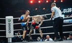3 võ sĩ Việt Nam toàn thắng tại sự kiện Boxing quốc tế WBO Global Match