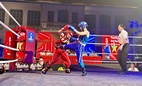 Kickboxing Việt Nam chạy đà trước giải đấu đỉnh cao châu lục
