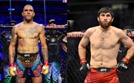 Magomed Ankalaev: Alex Pereira vừa "ký giấy chứng tử" tại UFC 313