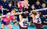Hàn Quốc tổ chức giải bóng chuyền "siêu kinh điển các CLB 2026"