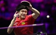 Tương quan lực lượng bóng bàn Trung Quốc - Nhật Bản hậu London 2026: Khi "hòn đá tảng" Fan Zhendong vắng mặt