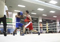 Danh sách thi đấu giải Vô địch Boxing TP.HCM 2020