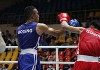 Lịch thi đấu ngày 6 tháng 10 giải vô địch Boxing TP.HCM 2020