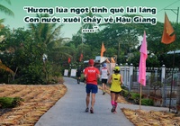 Mekong Delta Marathon cung cấp địa điểm lưu trú cho VĐV dự giải