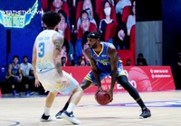 Nhận định VBA: Nha Trang Dolphins vs Hochiminh City Wings (ngày 01/11, 19h00)