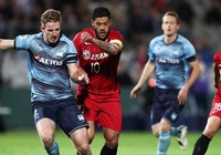 Lịch trực tiếp Bóng đá TV hôm nay 19/11: Sydney vs Shanghai SIPG