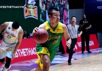 Nhận định VBA: Cantho Catfish vs Nha Trang Dolphins (ngày 17/11, 19h00)