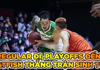 Cantho Catfish thắng trận sinh tử trước Danang Dragons để vào Playoffs