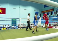 Boxing Việt Nam: Chuyện một giải đấu phải "cấp cứu" giữa giông bão (Kỳ 1)