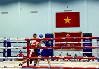 Boxing Việt Nam: Giải đấu dài chẳng giống ai với hạng cân... không tưởng (Kỳ 2)