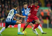 Lịch trực tiếp Bóng đá TV hôm nay 28/11: Brighton vs Liverpool