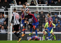 Lịch sử đối đầu, đội hình Crystal Palace vs Newcastle, Ngoại hạng Anh 2020