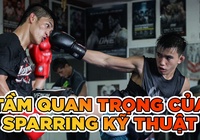 Tầm quan trọng của Sparring kỹ thuật mà võ sĩ cần phải biết 