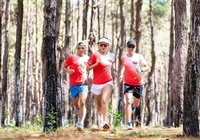 Tiền Phong Marathon 2021 với “Giấc mơ đại ngàn” phủ xanh Việt Nam