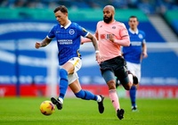 Kết quả Brighton vs Sheffield United, video highlight bóng đá Anh hôm nay