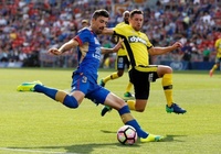 Kết quả Central Coast Mariners vs Newcastle Jets, video bóng đá Úc hôm nay 31/12