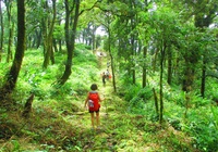 Lai Châu có thể tổ chức giải marathon trên con đường đá cổ Pavi