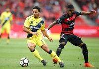 Nhận định Western Sydney vs Newcastle Jets, 15h05 ngày 29/01