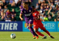 Trực tiếp Adelaide United vs Perth Glory, bóng đá Úc hôm nay 5/2